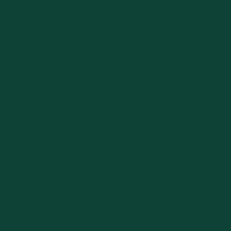 Grün | RAL 6005/MATT